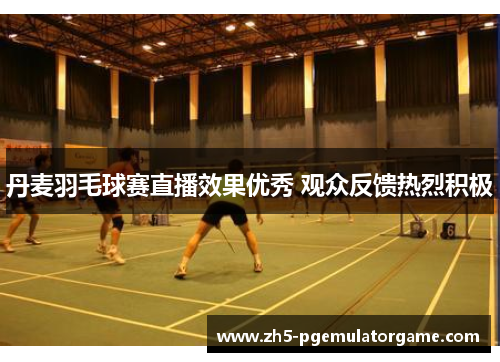 丹麦羽毛球赛直播效果优秀 观众反馈热烈积极