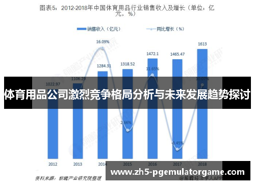 体育用品公司激烈竞争格局分析与未来发展趋势探讨 体育用品公司激烈竞争格局分析与未来发展趋势探讨