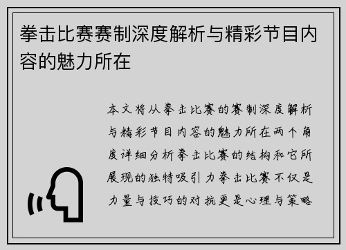 拳击比赛赛制深度解析与精彩节目内容的魅力所在