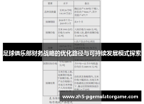 足球俱乐部财务战略的优化路径与可持续发展模式探索