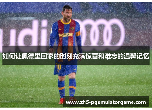 如何让佩德里回家的时刻充满惊喜和难忘的温馨记忆