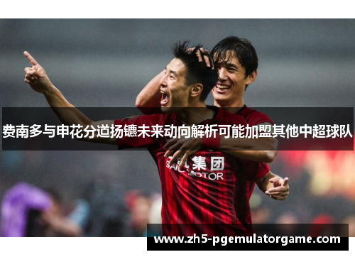 费南多与申花分道扬镳未来动向解析可能加盟其他中超球队