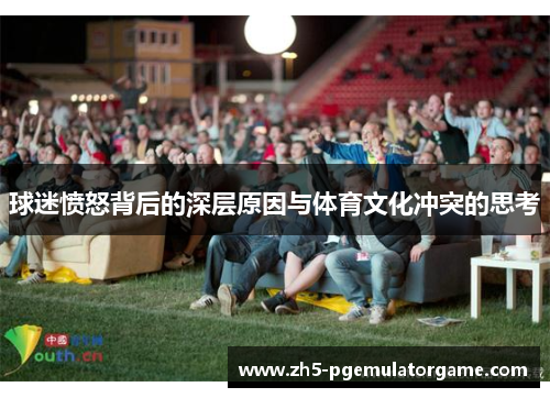 球迷愤怒背后的深层原因与体育文化冲突的思考