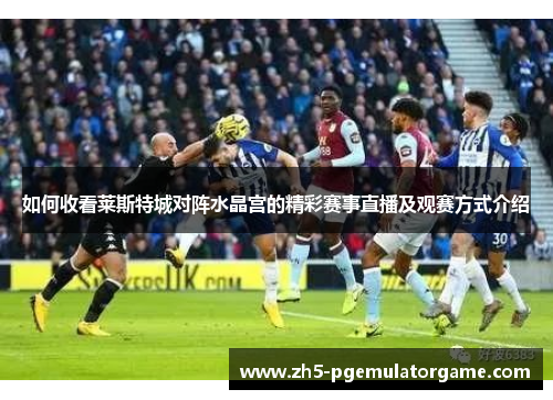 如何收看莱斯特城对阵水晶宫的精彩赛事直播及观赛方式介绍
