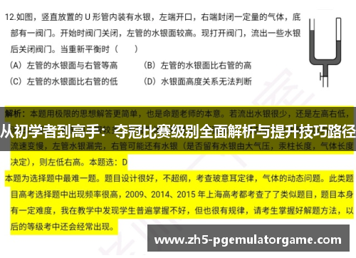 从初学者到高手：夺冠比赛级别全面解析与提升技巧路径