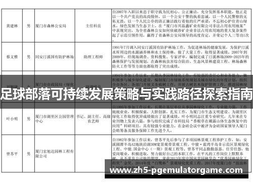足球部落可持续发展策略与实践路径探索指南