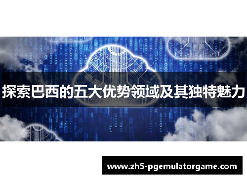 探索巴西的五大优势领域及其独特魅力