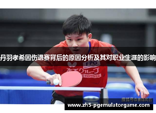 丹羽孝希因伤退赛背后的原因分析及其对职业生涯的影响