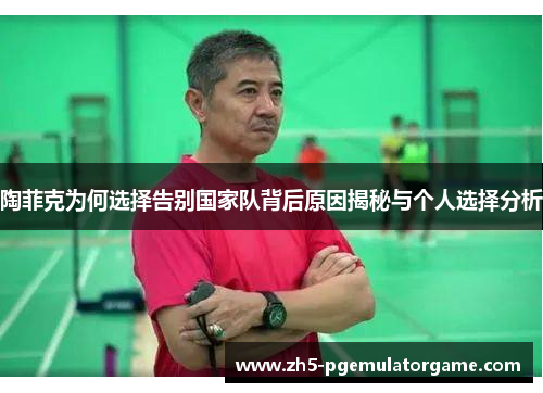 陶菲克为何选择告别国家队背后原因揭秘与个人选择分析