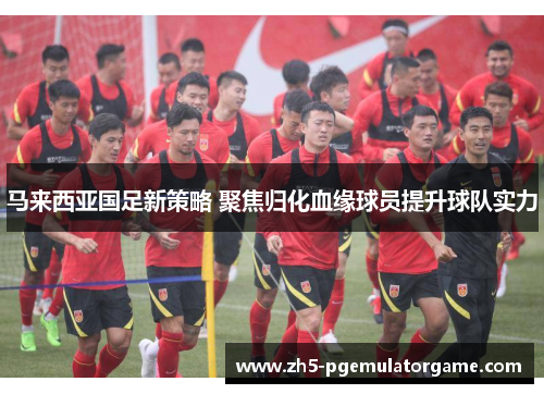 马来西亚国足新策略 聚焦归化血缘球员提升球队实力